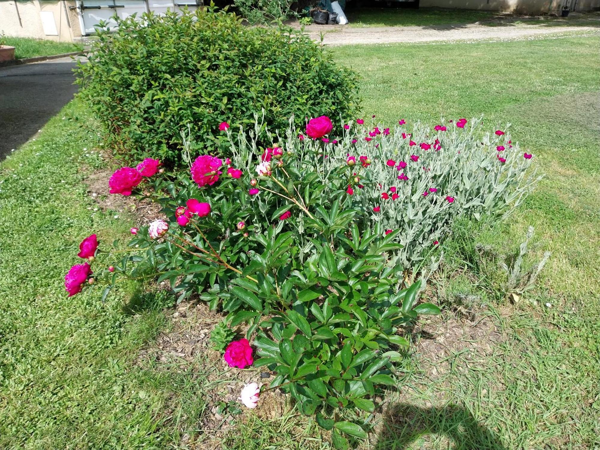 Bed and Breakfast Les Bernus Monfaucon  Esterno foto